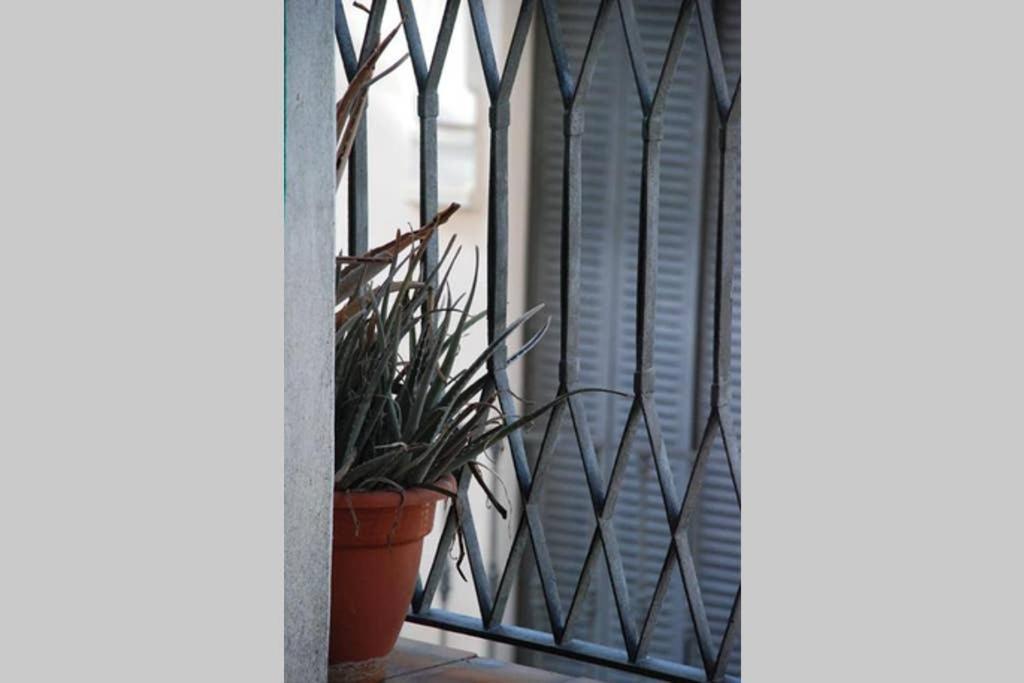 Apartmán Apartamento Centro Encarnacion 2º I Sevilla Exteriér fotografie